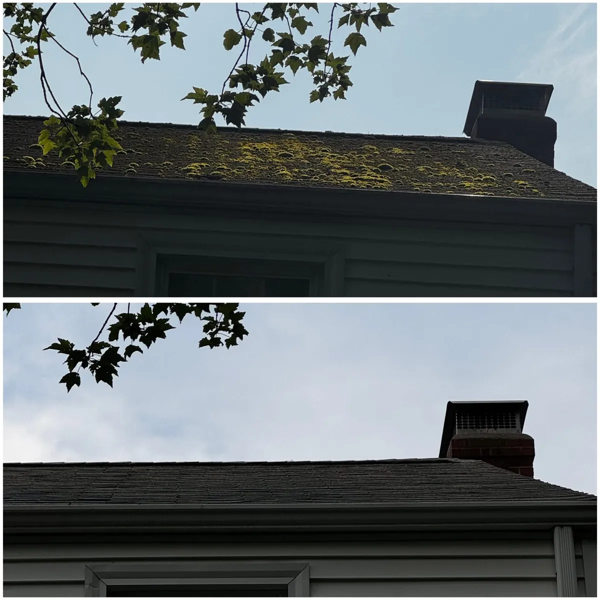 roof clean before after