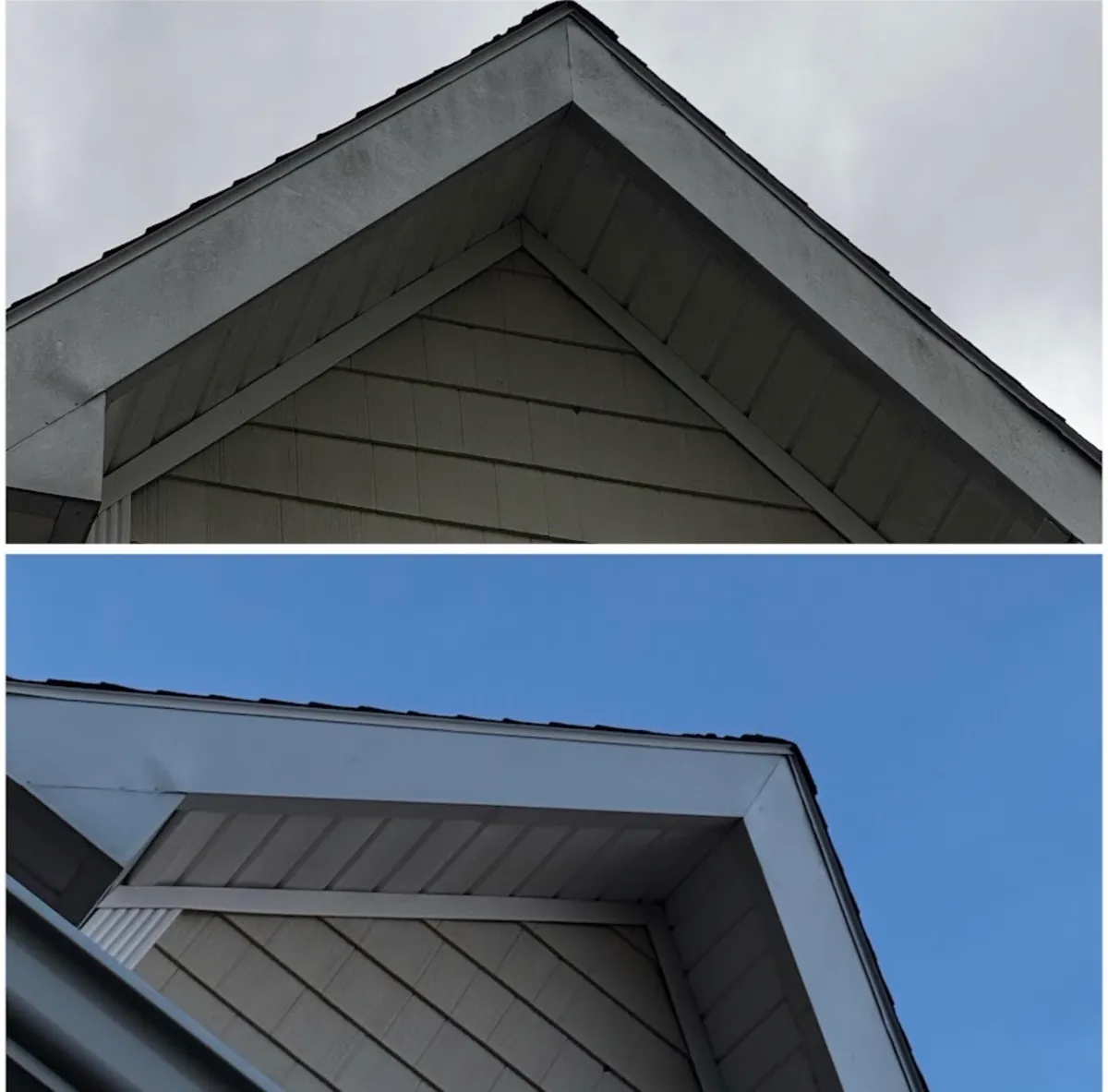 Image that's part of the gallery of images for the website